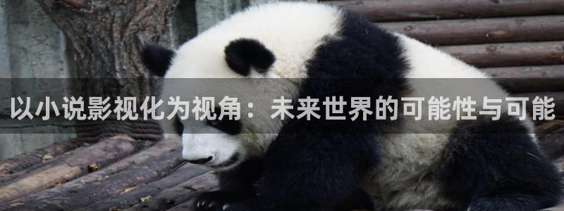 97人人做人人爱视频