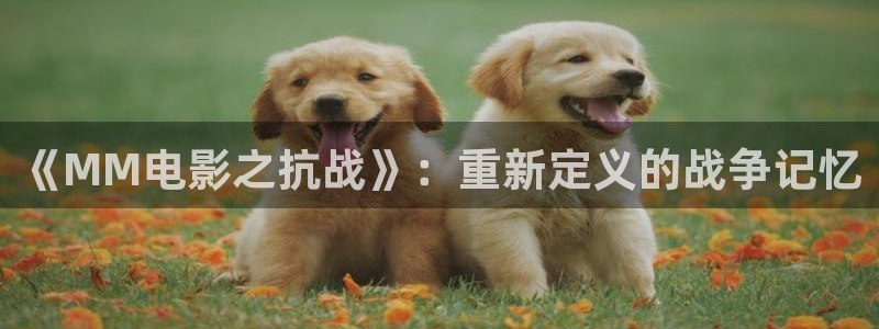人人爱爱片