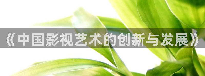 人人成人在线视频