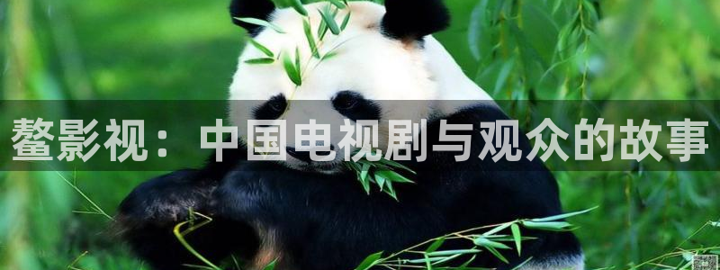 人人看视频在线播放