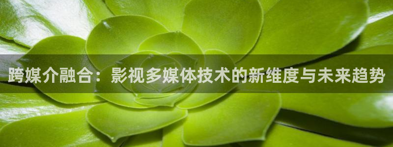 人人电影伦理