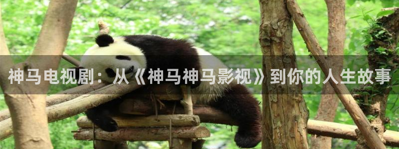 人人视频电视版