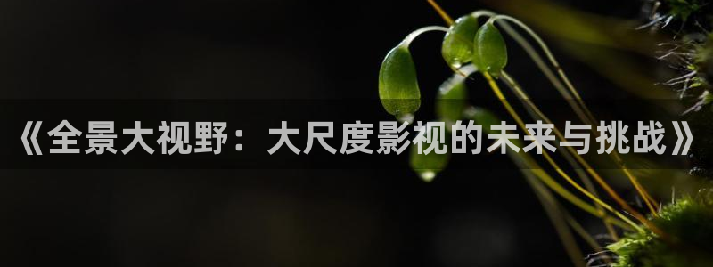 人人tv视频在线观看