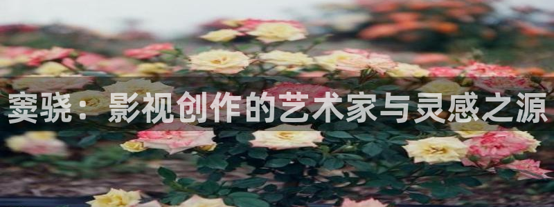 人人影院电视剧免费观看