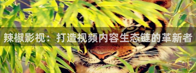 久久人人爽人人爽人人片966